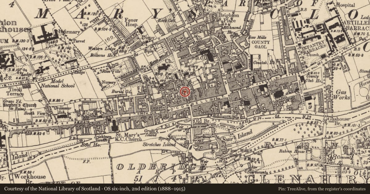 Ordnance Survey six-inch map, 2nd edition (1888–1915) covering the location of Habitation site, Burgagery-Lands West, County Tipperary South, with a pin at the register's coordinates