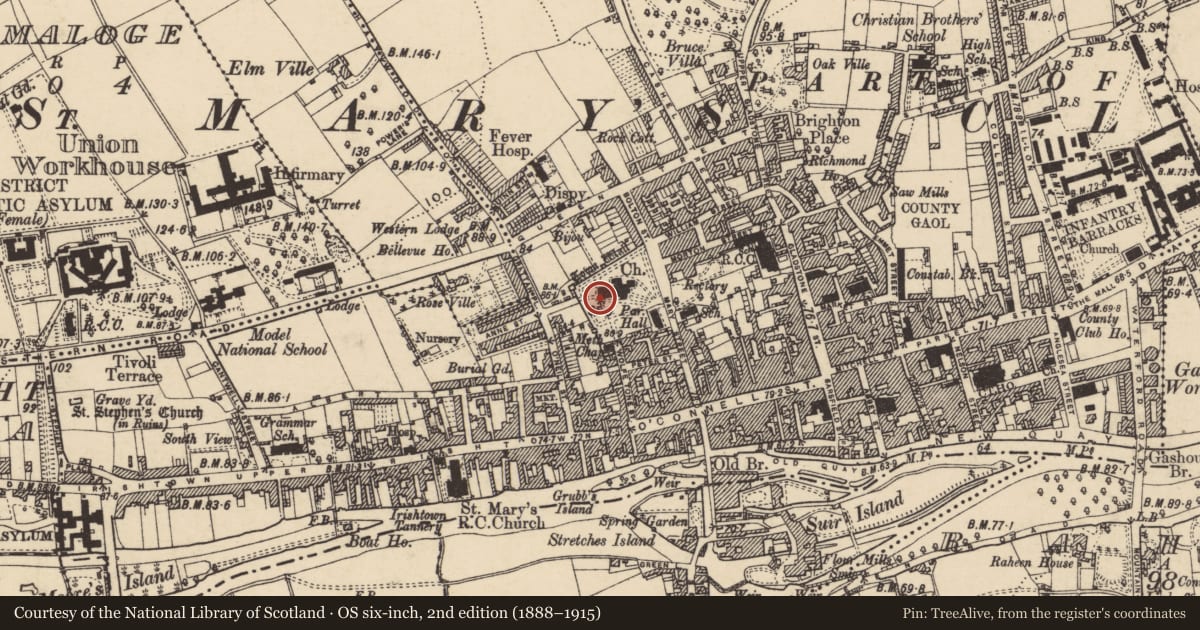 Ordnance Survey six-inch map, 2nd edition (1888–1915) covering the location of Graveslab, Burgagery-Lands West, County Tipperary South, with a pin at the register's coordinates