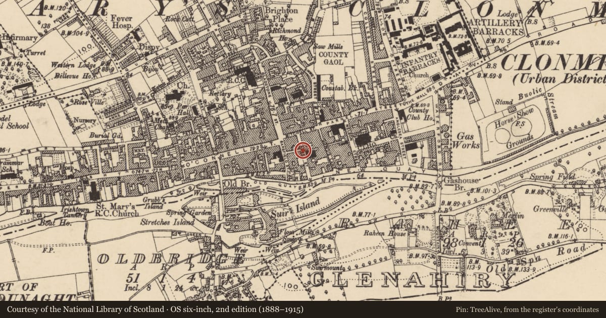 Ordnance Survey six-inch map, 2nd edition (1888–1915) covering the location of Stone sculpture, Burgagery-Lands West, County Tipperary South, with a pin at the register's coordinates