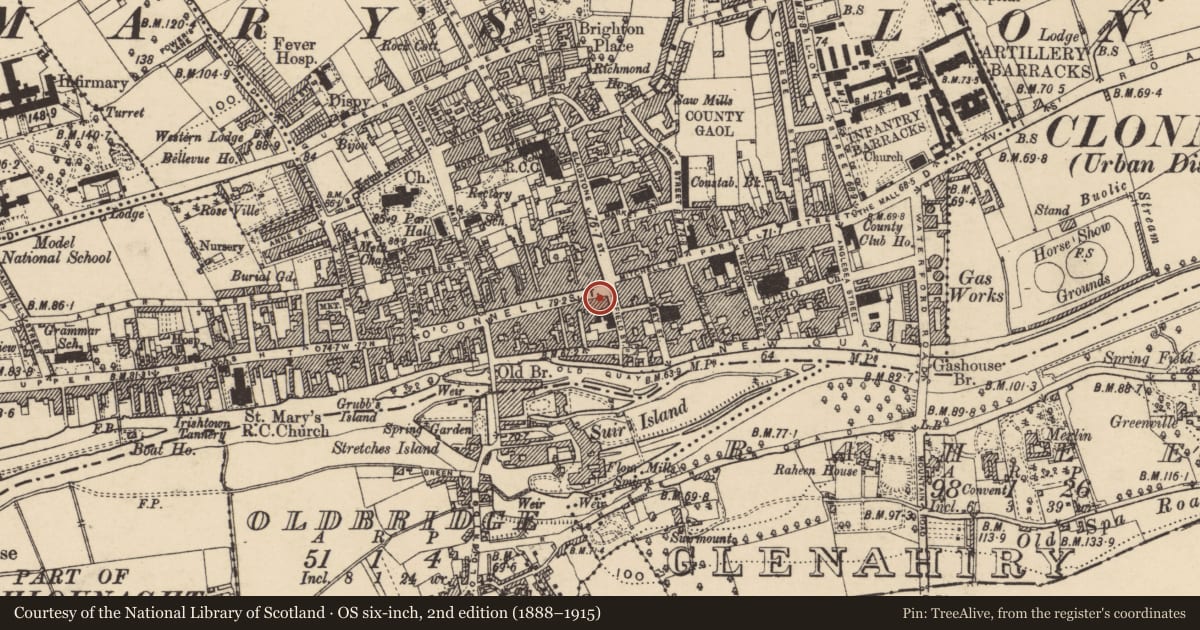 Ordnance Survey six-inch map, 2nd edition (1888–1915) covering the location of Cross - Market cross, Burgagery-Lands West, County Tipperary South, with a pin at the register's coordinates