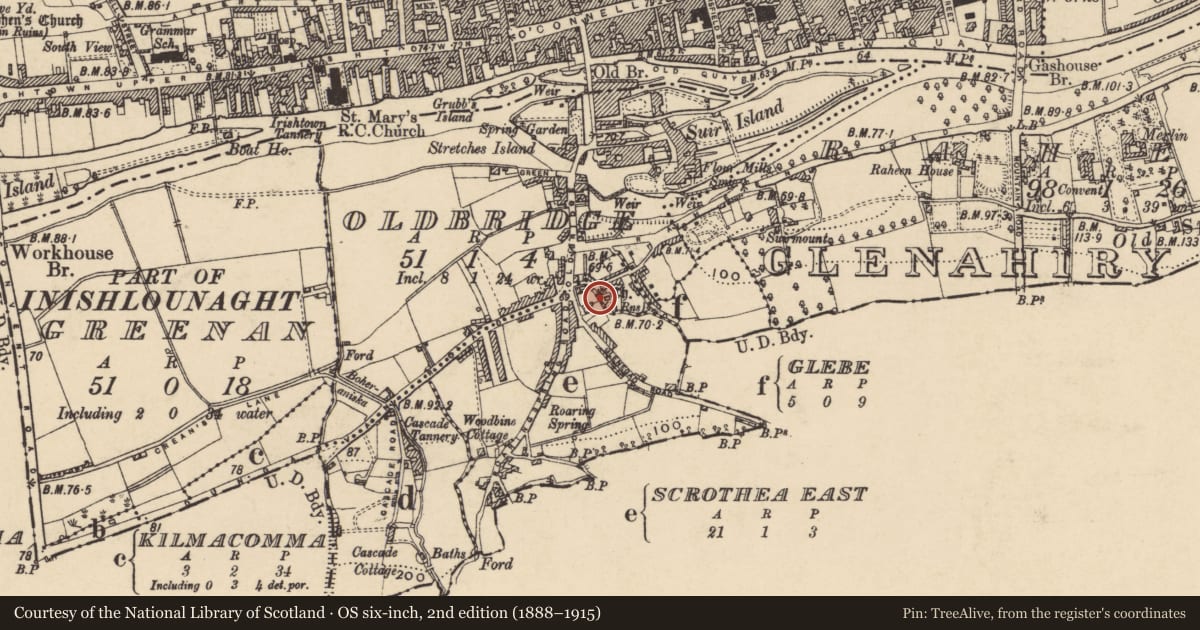 Ordnance Survey six-inch map, 2nd edition (1888–1915) covering the location of Church, Glebe, County Tipperary South, with a pin at the register's coordinates