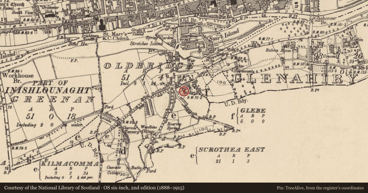 Ordnance Survey six-inch map, 2nd edition (1888–1915) covering the location of Graveyard, Glebe, County Tipperary South, with a pin at the register's coordinates
