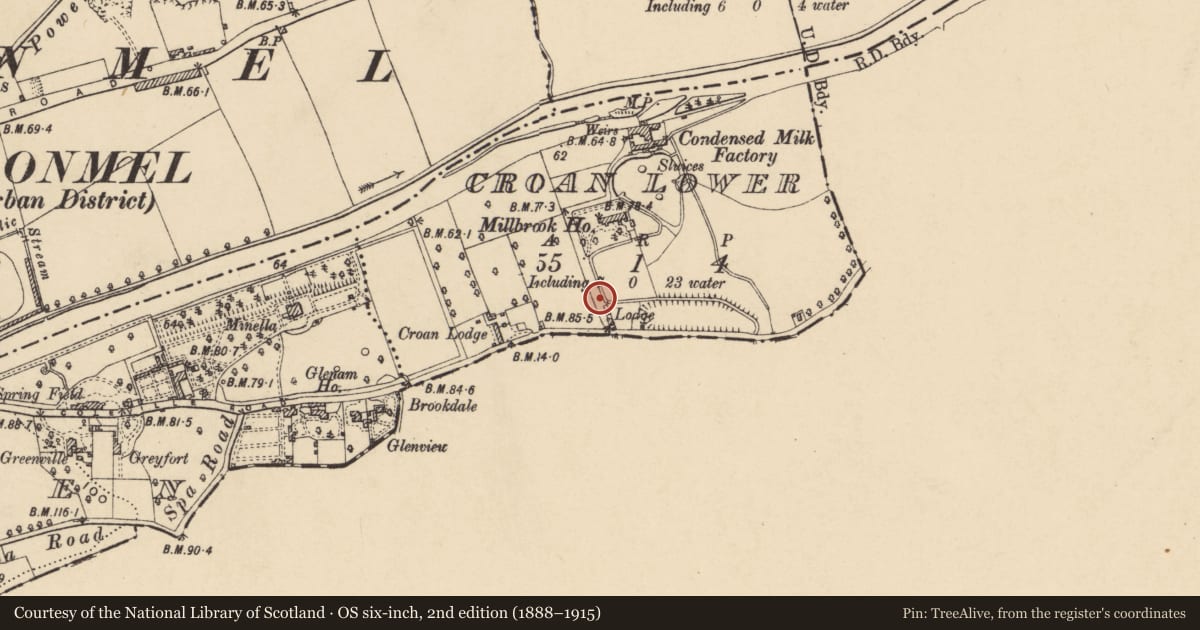 Ordnance Survey six-inch map, 2nd edition (1888–1915) covering the location of Mill - unclassified, Croan Lower, County Tipperary South, with a pin at the register's coordinates