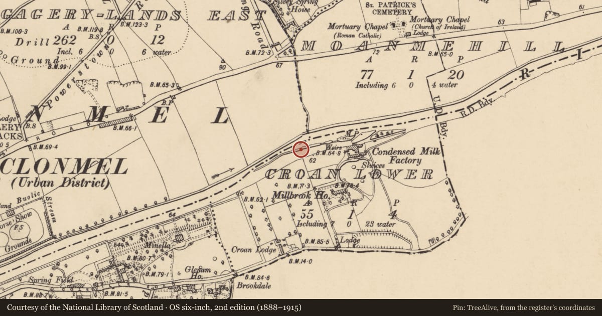 Ordnance Survey six-inch map, 2nd edition (1888–1915) covering the location of Weir - regulating, Croan Lower, County Tipperary South, with a pin at the register's coordinates