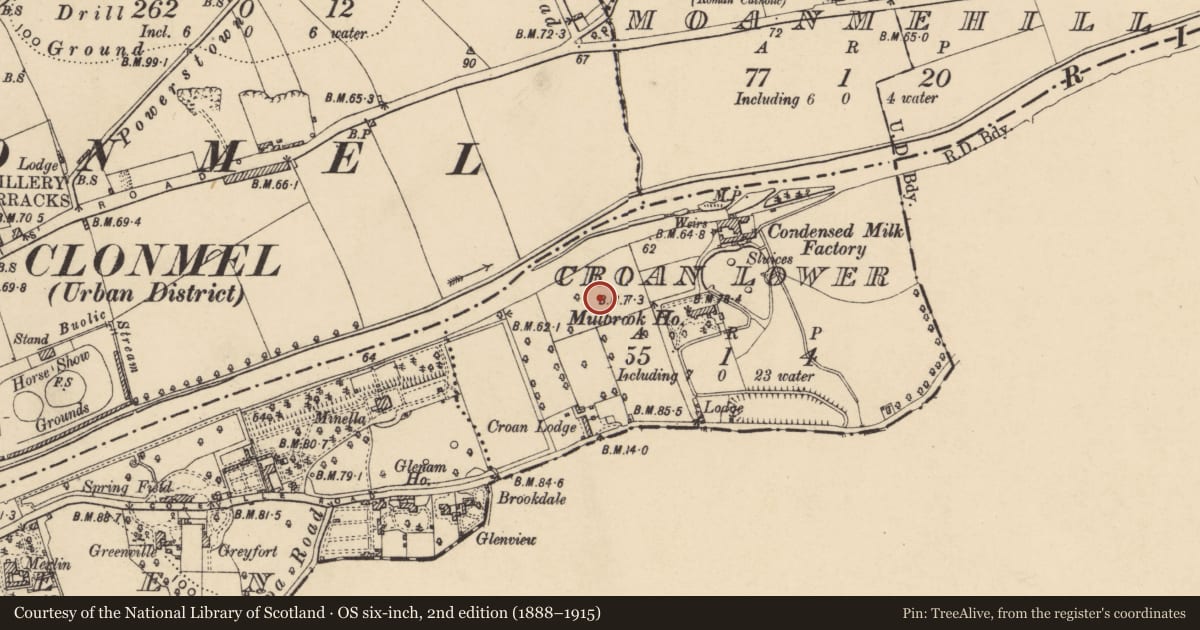 Ordnance Survey six-inch map, 2nd edition (1888–1915) covering the location of Standing stone, Croan Lower, County Tipperary South, with a pin at the register's coordinates