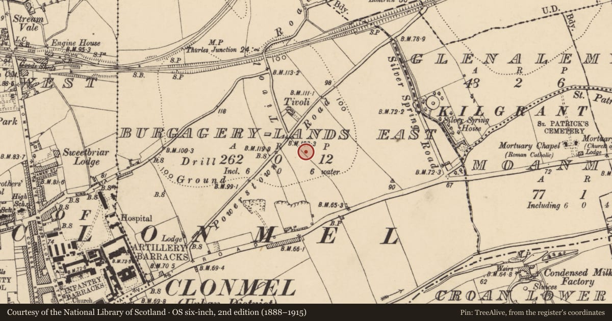 Ordnance Survey six-inch map, 2nd edition (1888–1915) covering the location of Enclosure, Burgagery-Lands East, County Tipperary South, with a pin at the register's coordinates