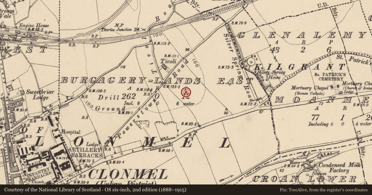 Ordnance Survey six-inch map, 2nd edition (1888–1915) covering the location of Enclosure, Burgagery-Lands East, County Tipperary South, with a pin at the register's coordinates