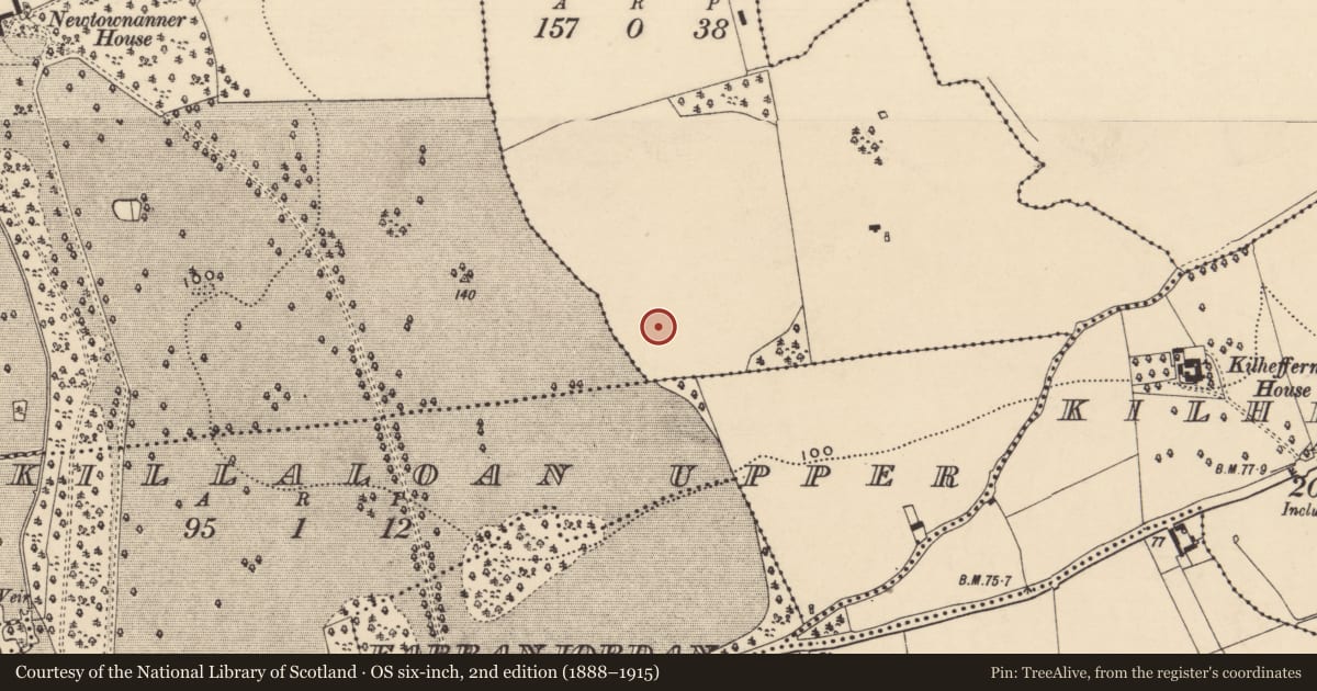 Ordnance Survey six-inch map, 2nd edition (1888–1915) covering the location of Enclosure, Newtown (Killaloan Par.), County Tipperary South, with a pin at the register's coordinates