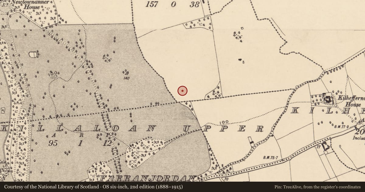 Ordnance Survey six-inch map, 2nd edition (1888–1915) covering the location of Field system, Newtown (Killaloan Par.), County Tipperary South, with a pin at the register's coordinates