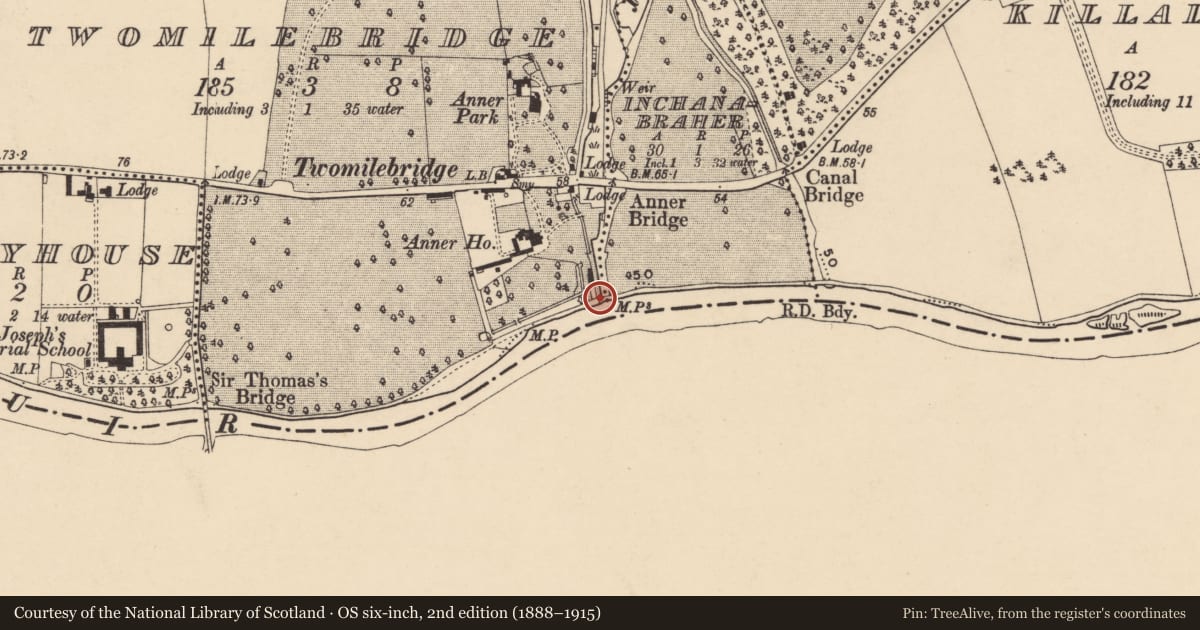 Ordnance Survey six-inch map, 2nd edition (1888–1915) covering the location of Bridge, Inchanabraher, Twomilebridge, County Tipperary South, with a pin at the register's coordinates