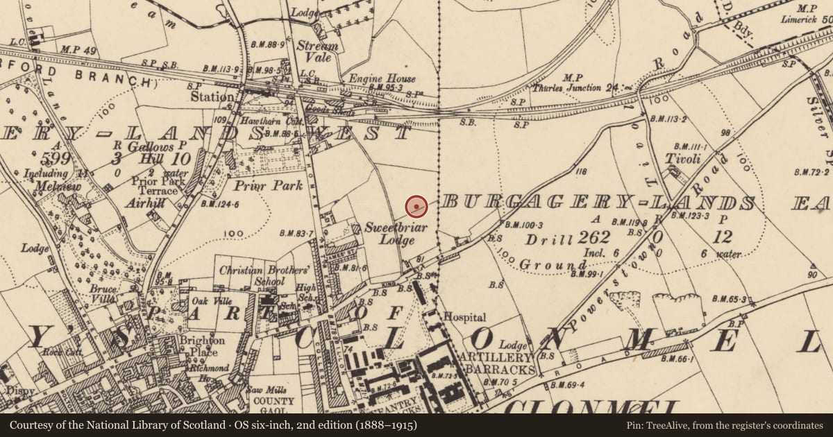Ordnance Survey six-inch map, 2nd edition (1888–1915) covering the location of Standing stone, Burgagery-Lands East, County Tipperary South, with a pin at the register's coordinates