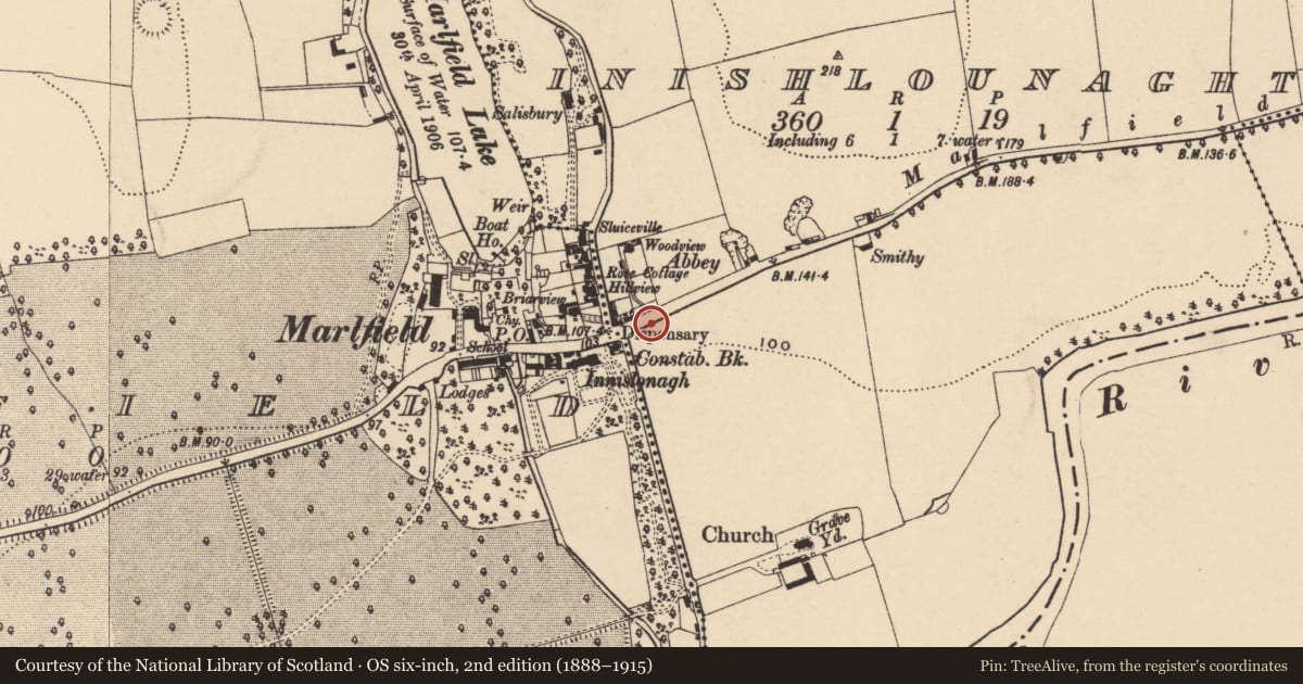 Ordnance Survey six-inch map, 2nd edition (1888–1915) covering the location of Graveslab, Inishlounaght, County Tipperary South, with a pin at the register's coordinates