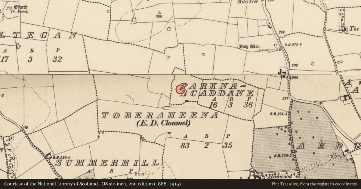 Ordnance Survey six-inch map, 2nd edition (1888–1915) covering the location of Fulacht fia, Parknascaddane, County Tipperary South, with a pin at the register's coordinates