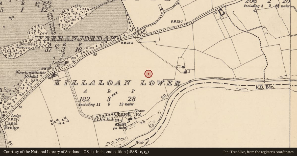 Ordnance Survey six-inch map, 2nd edition (1888–1915) covering the location of Enclosure, Killaloan Lower, County Tipperary South, with a pin at the register's coordinates