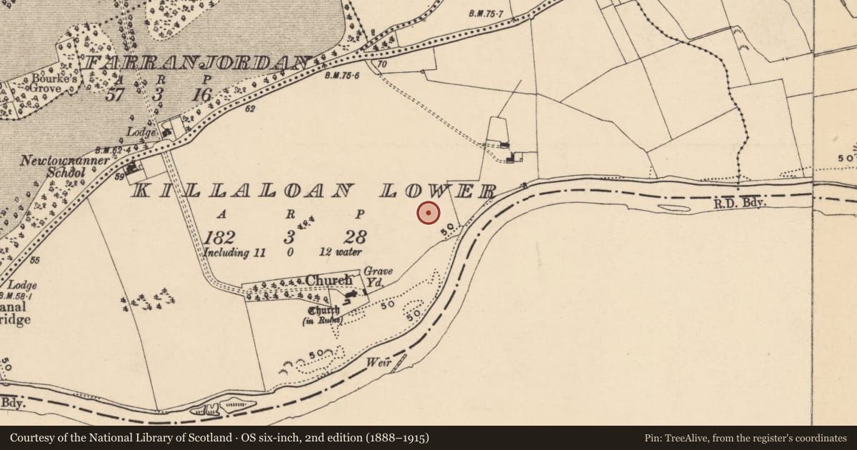 Ordnance Survey six-inch map, 2nd edition (1888–1915) covering the location of Enclosure, Killaloan Lower, County Tipperary South, with a pin at the register's coordinates