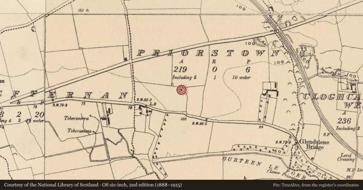Ordnance Survey six-inch map, 2nd edition (1888–1915) covering the location of Enclosure, Priorstown, County Tipperary South, with a pin at the register's coordinates