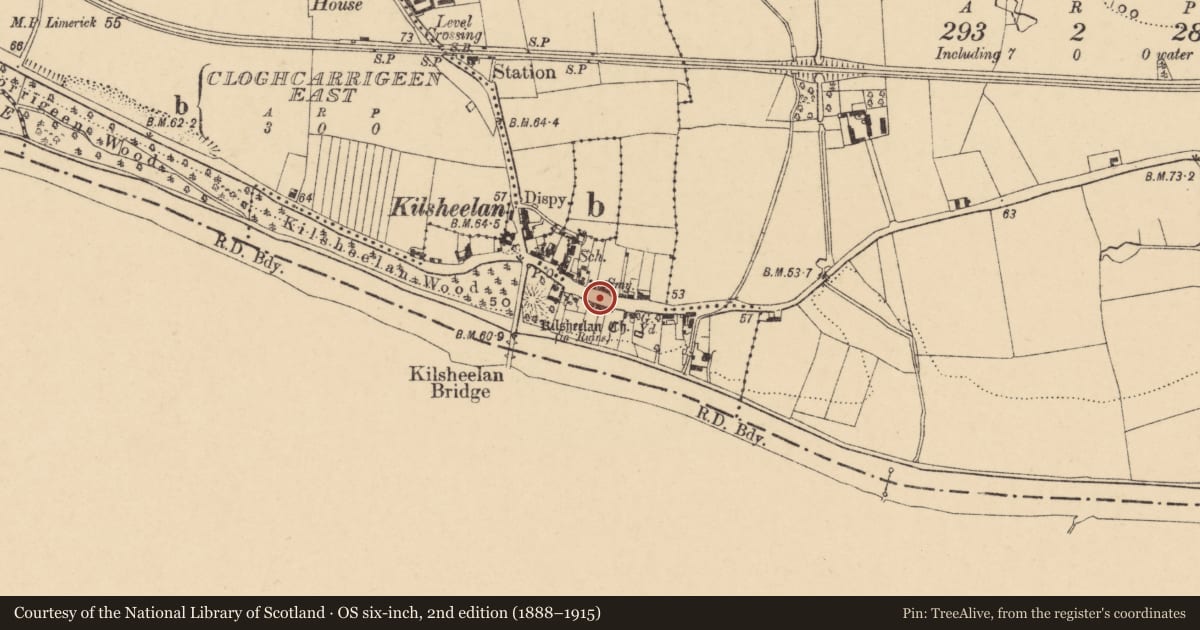 Ordnance Survey six-inch map, 2nd edition (1888–1915) covering the location of Settlement deserted - medieval, County Tipperary South, with a pin at the register's coordinates