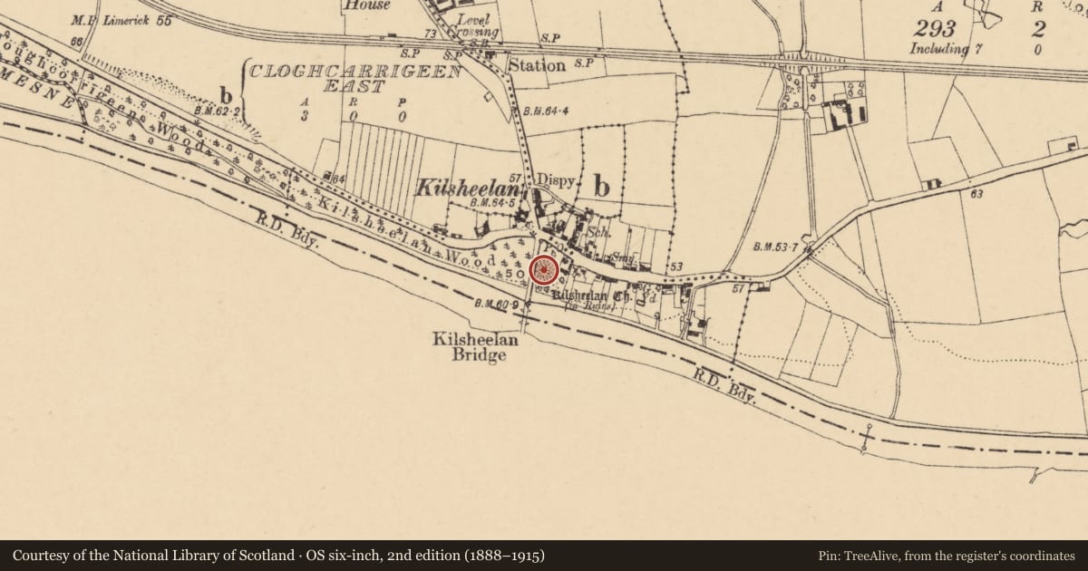 Ordnance Survey six-inch map, 2nd edition (1888–1915) covering the location of Castle - motte, Kilsheelan, County Tipperary South, with a pin at the register's coordinates