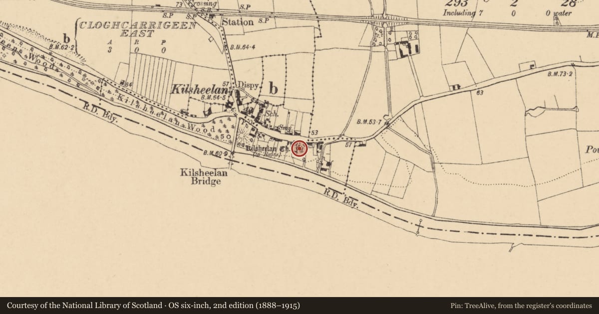 Ordnance Survey six-inch map, 2nd edition (1888–1915) covering the location of Graveyard, Kilsheelan, County Tipperary South, with a pin at the register's coordinates
