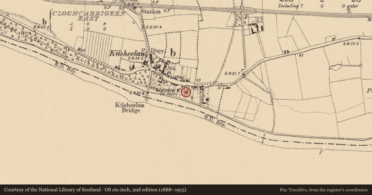 Ordnance Survey six-inch map, 2nd edition (1888–1915) covering the location of Graveslab, Kilsheelan, County Tipperary South, with a pin at the register's coordinates