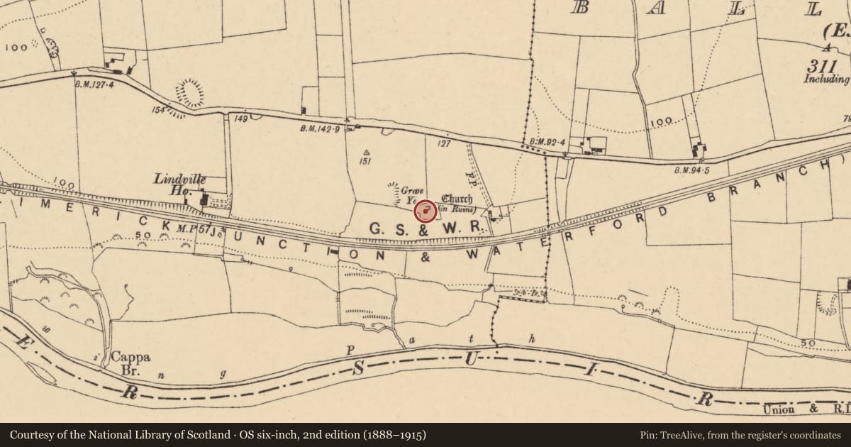Ordnance Survey six-inch map, 2nd edition (1888–1915) covering the location of Armorial plaque, Ballynaraha, County Tipperary South, with a pin at the register's coordinates
