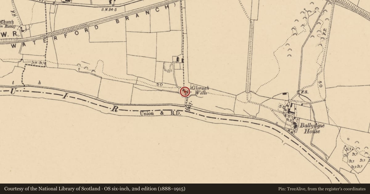 Ordnance Survey six-inch map, 2nd edition (1888–1915) covering the location of Ritual site - holy well, Ballydine (Kilmurry Par.), County Tipperary South, with a pin at the register's coordinates