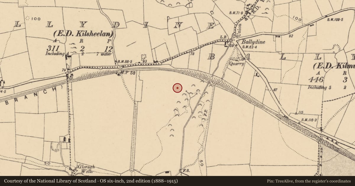 Ordnance Survey six-inch map, 2nd edition (1888–1915) covering the location of Enclosure, Ballydine (Kilmurry Par.), County Tipperary South, with a pin at the register's coordinates