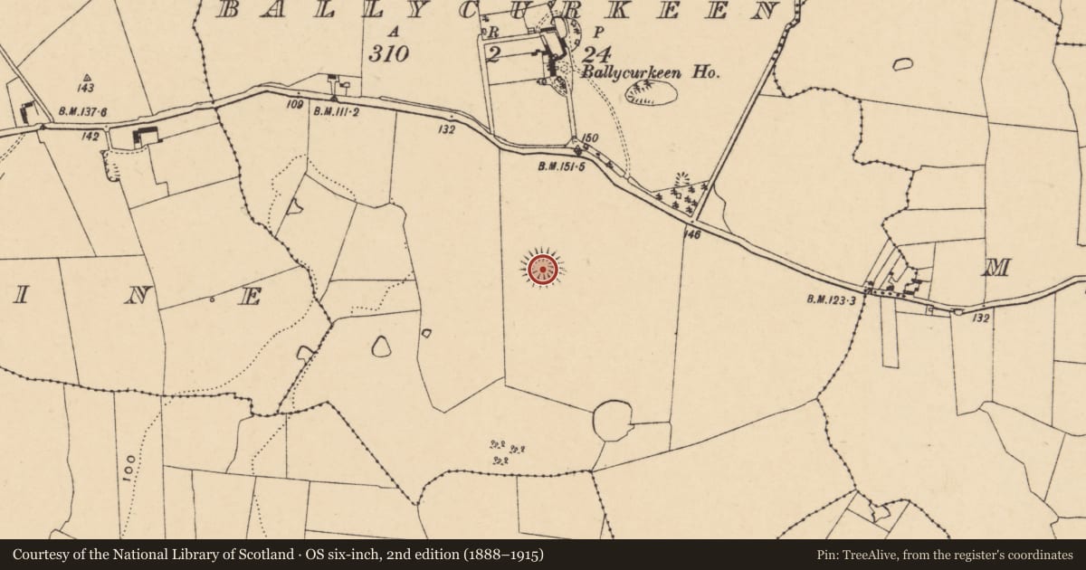 Ordnance Survey six-inch map, 2nd edition (1888–1915) covering the location of Ringfort - rath, Ballycurkeen, County Tipperary South, with a pin at the register's coordinates