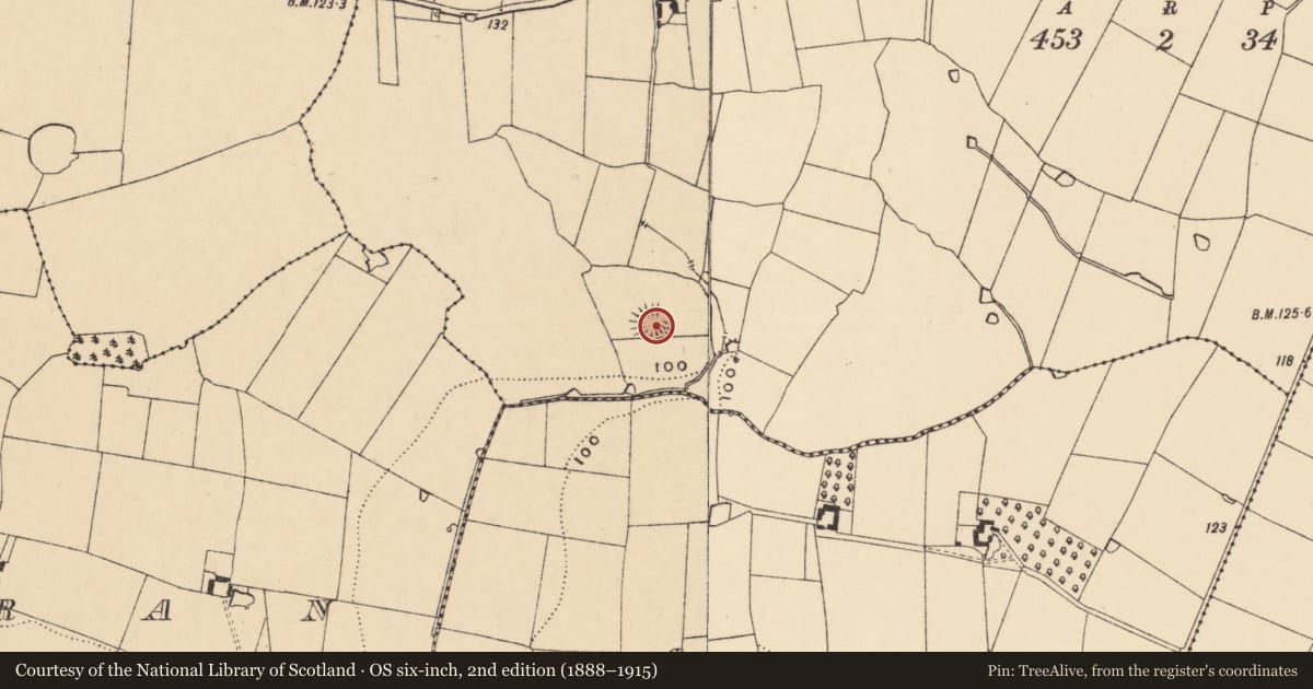 Ordnance Survey six-inch map, 2nd edition (1888–1915) covering the location of Enclosure, Mullagh, County Tipperary South, with a pin at the register's coordinates