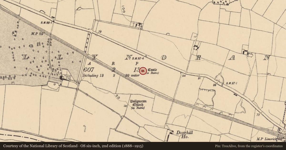 Ordnance Survey six-inch map, 2nd edition (1888–1915) covering the location of Castle - tower house, Ballynoran, County Tipperary South, with a pin at the register's coordinates