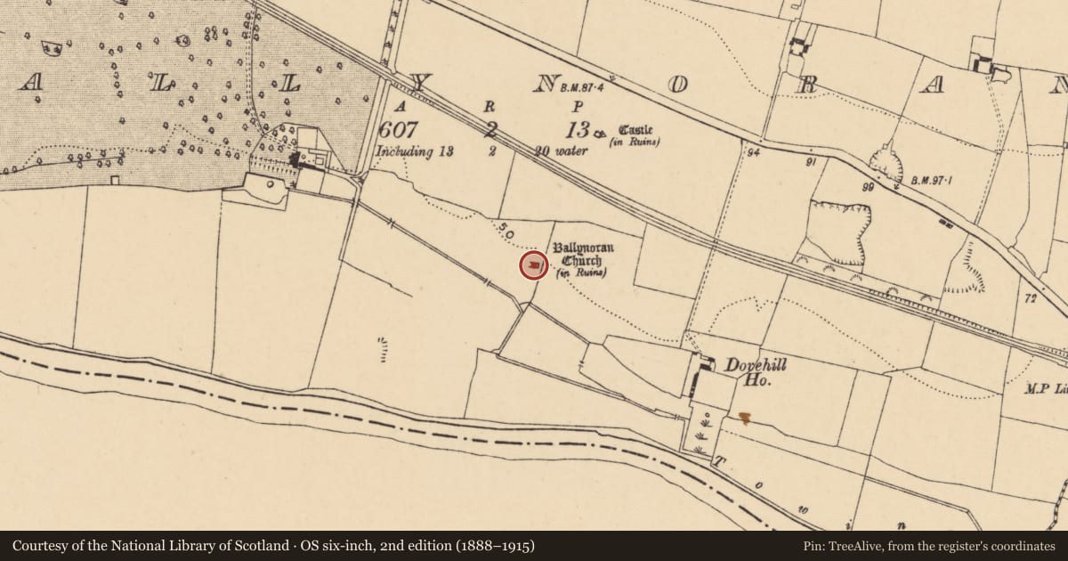 Ordnance Survey six-inch map, 2nd edition (1888–1915) covering the location of Church, Ballynoran, County Tipperary South, with a pin at the register's coordinates