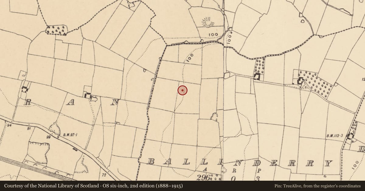 Ordnance Survey six-inch map, 2nd edition (1888–1915) covering the location of Souterrain, Ballinderry (Carrick Par.), County Tipperary South, with a pin at the register's coordinates
