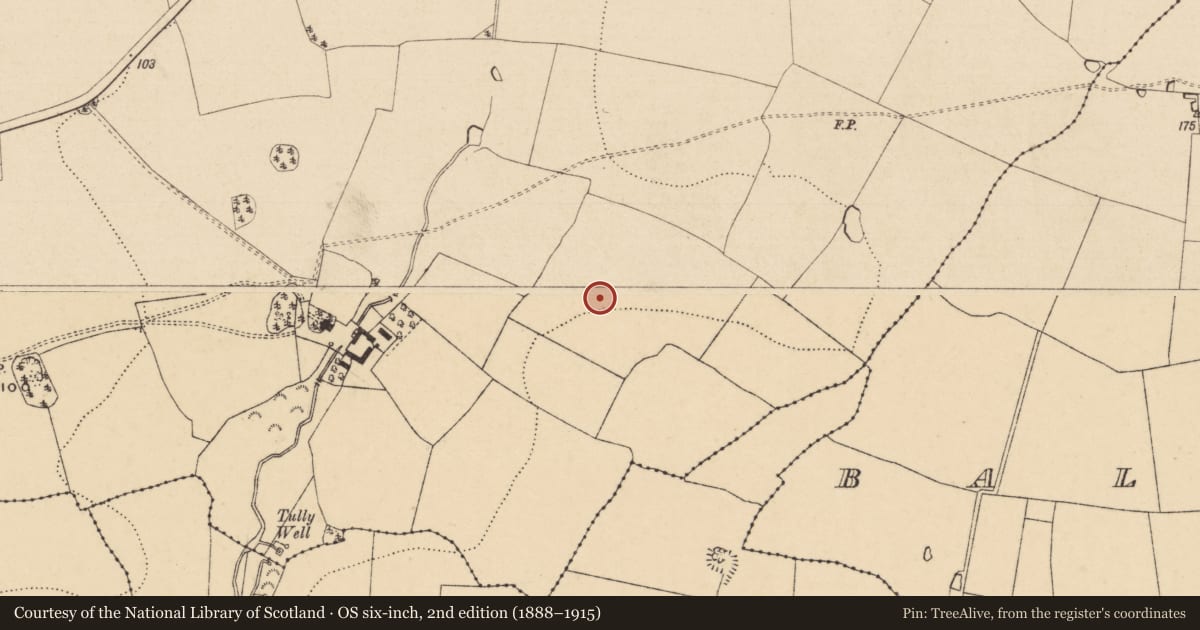 Ordnance Survey six-inch map, 2nd edition (1888–1915) covering the location of Field system, Seskin (Kilsheelan Par.), County Tipperary South, with a pin at the register's coordinates