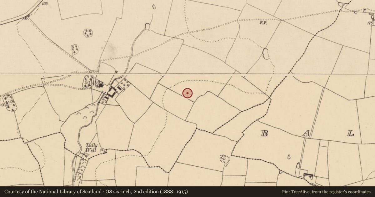 Ordnance Survey six-inch map, 2nd edition (1888–1915) covering the location of Enclosure, Seskin (Kilsheelan Par.), County Tipperary South, with a pin at the register's coordinates