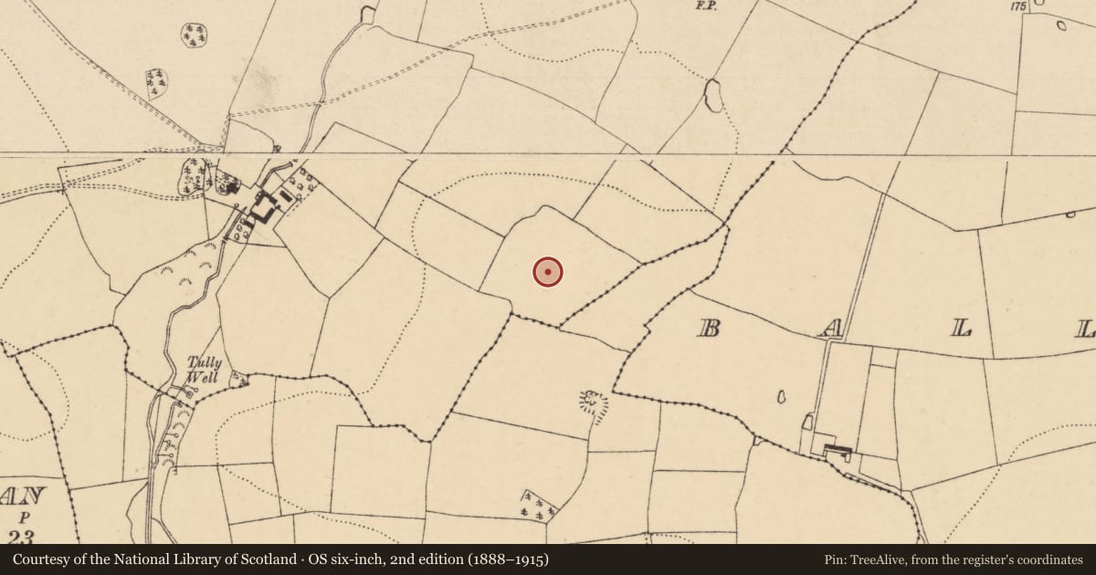 Ordnance Survey six-inch map, 2nd edition (1888–1915) covering the location of Enclosure, Seskin (Kilsheelan Par.), County Tipperary South, with a pin at the register's coordinates