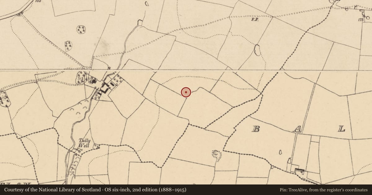 Ordnance Survey six-inch map, 2nd edition (1888–1915) covering the location of Enclosure, Seskin (Kilsheelan Par.), County Tipperary South, with a pin at the register's coordinates