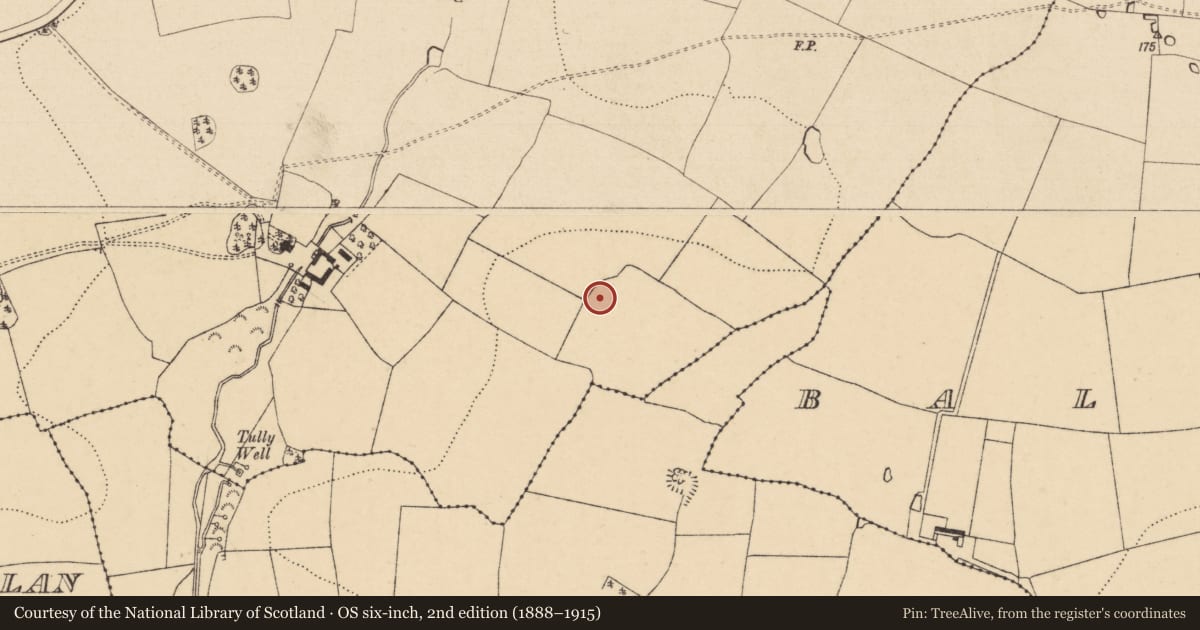 Ordnance Survey six-inch map, 2nd edition (1888–1915) covering the location of Enclosure, Seskin (Kilsheelan Par.), County Tipperary South, with a pin at the register's coordinates