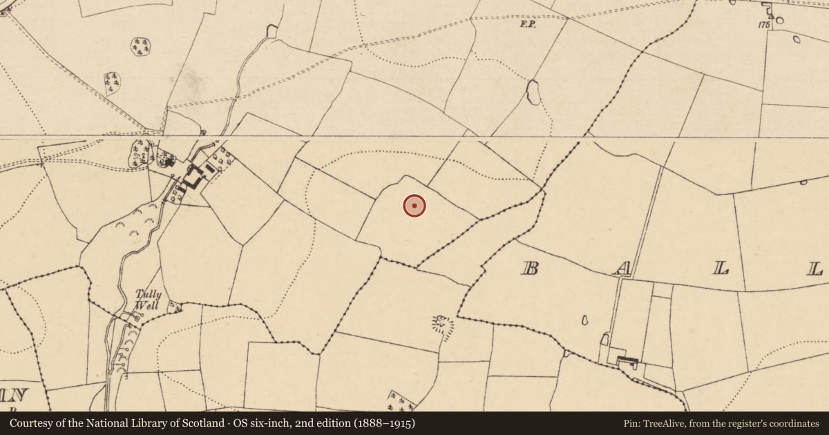Ordnance Survey six-inch map, 2nd edition (1888–1915) covering the location of Enclosure, Seskin (Kilsheelan Par.), County Tipperary South, with a pin at the register's coordinates