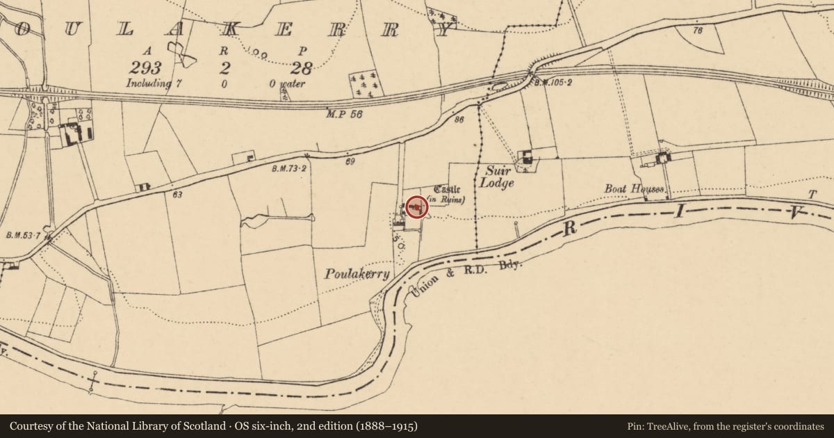 Ordnance Survey six-inch map, 2nd edition (1888–1915) covering the location of Castle - tower house, Poulakerry (Kilsheelan Par.), County Tipperary South, with a pin at the register's coordinates