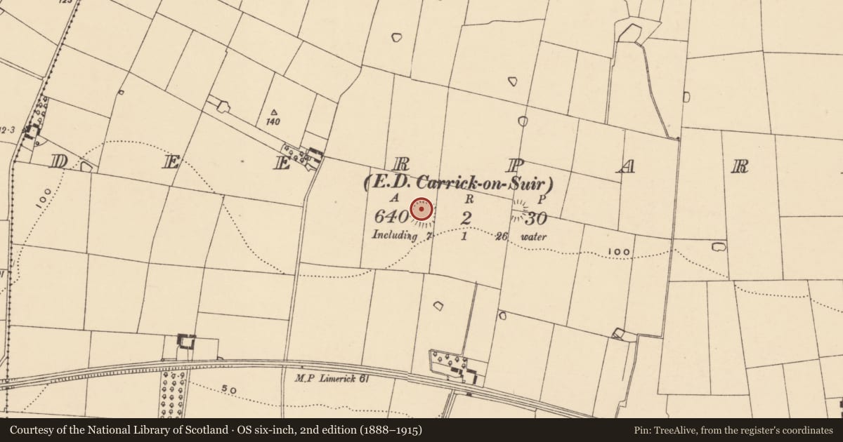 Ordnance Survey six-inch map, 2nd edition (1888–1915) covering the location of Ringfort - rath, Deerpark (Carrick Par.), County Tipperary South, with a pin at the register's coordinates