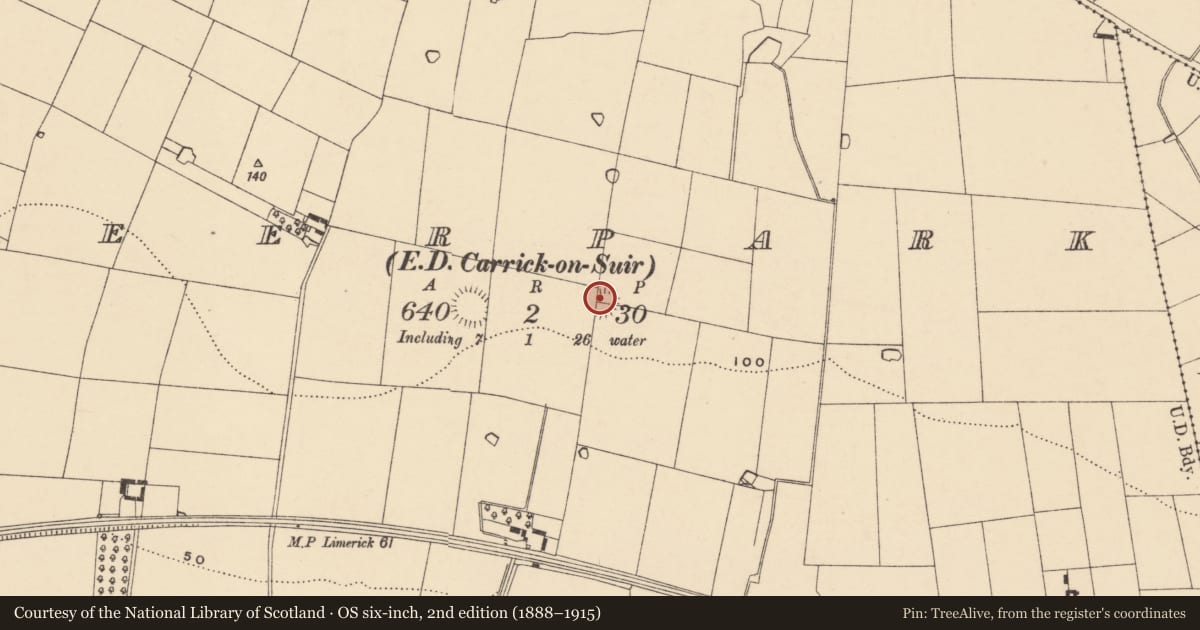 Ordnance Survey six-inch map, 2nd edition (1888–1915) covering the location of Ringfort - rath, Deerpark (Carrick Par.), County Tipperary South, with a pin at the register's coordinates