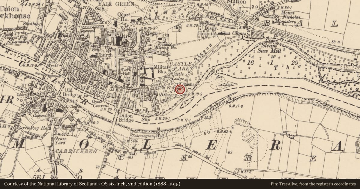 Ordnance Survey six-inch map, 2nd edition (1888–1915) covering the location of Castle - Anglo-Norman masonry castle, Town Parks, County Tipperary South, with a pin at the register's coordinates