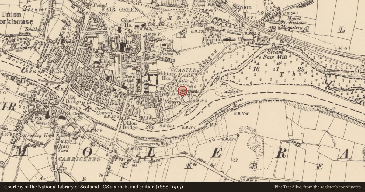 Ordnance Survey six-inch map, 2nd edition (1888–1915) covering the location of House - 16th century, Town Parks, County Tipperary South, with a pin at the register's coordinates