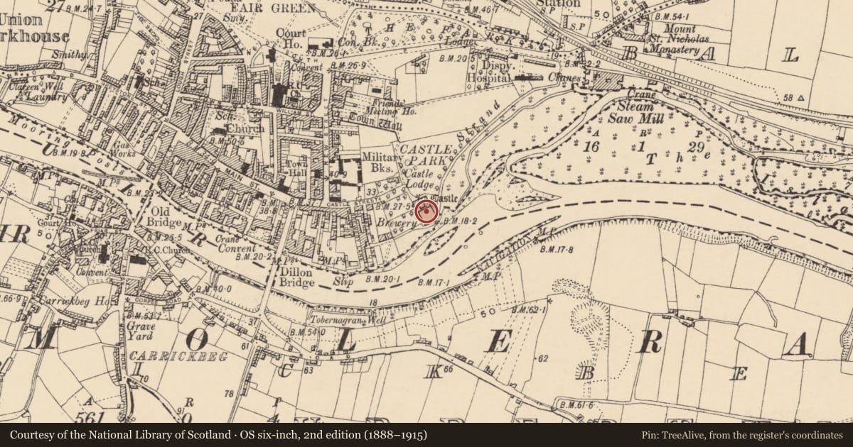 Ordnance Survey six-inch map, 2nd edition (1888–1915) covering the location of Religious house - Franciscan nuns (Poor Clares), Town Parks, County Tipperary South, with a pin at the register's coordinates