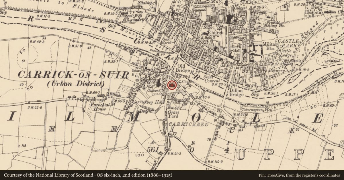 Ordnance Survey six-inch map, 2nd edition (1888–1915) covering the location of Religious house - Franciscan friars, Carrickbeg, County Tipperary South, with a pin at the register's coordinates