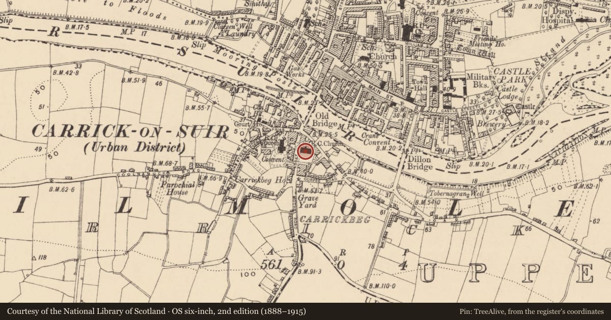Ordnance Survey six-inch map, 2nd edition (1888–1915) covering the location of Castle - unclassified, Carrickbeg, County Tipperary South, with a pin at the register's coordinates
