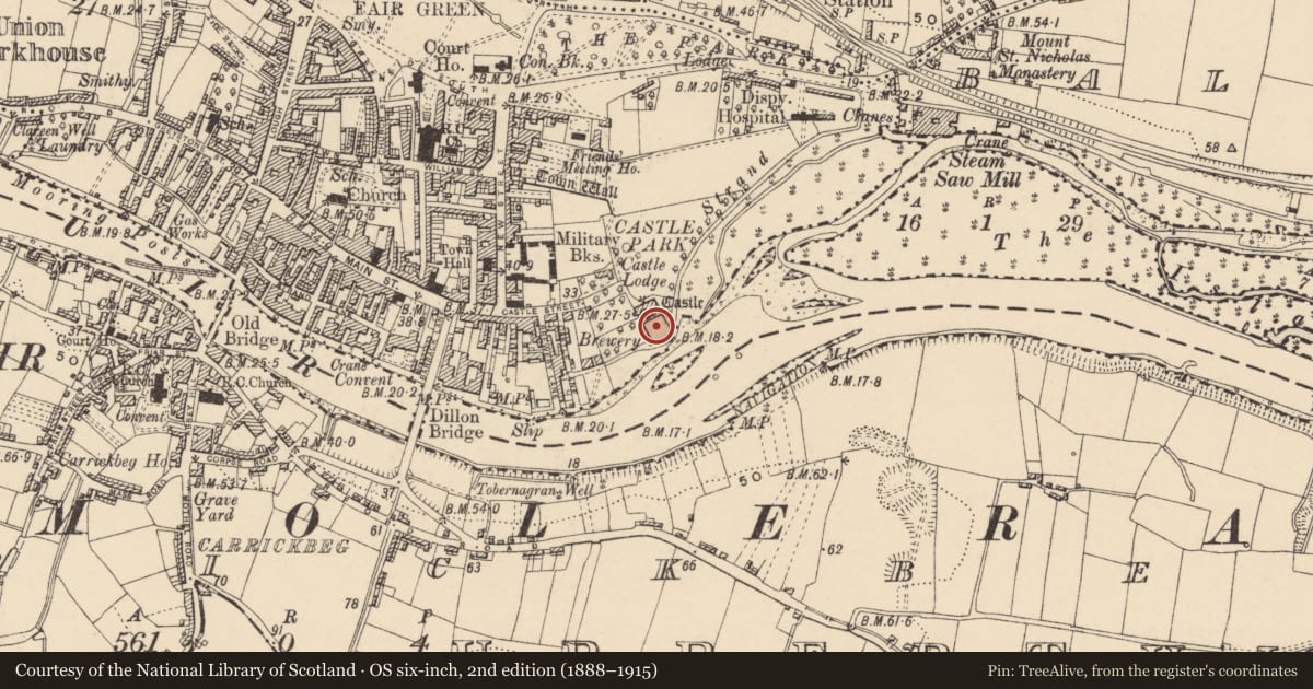Ordnance Survey six-inch map, 2nd edition (1888–1915) covering the location of Bawn, Town Parks, County Tipperary South, with a pin at the register's coordinates