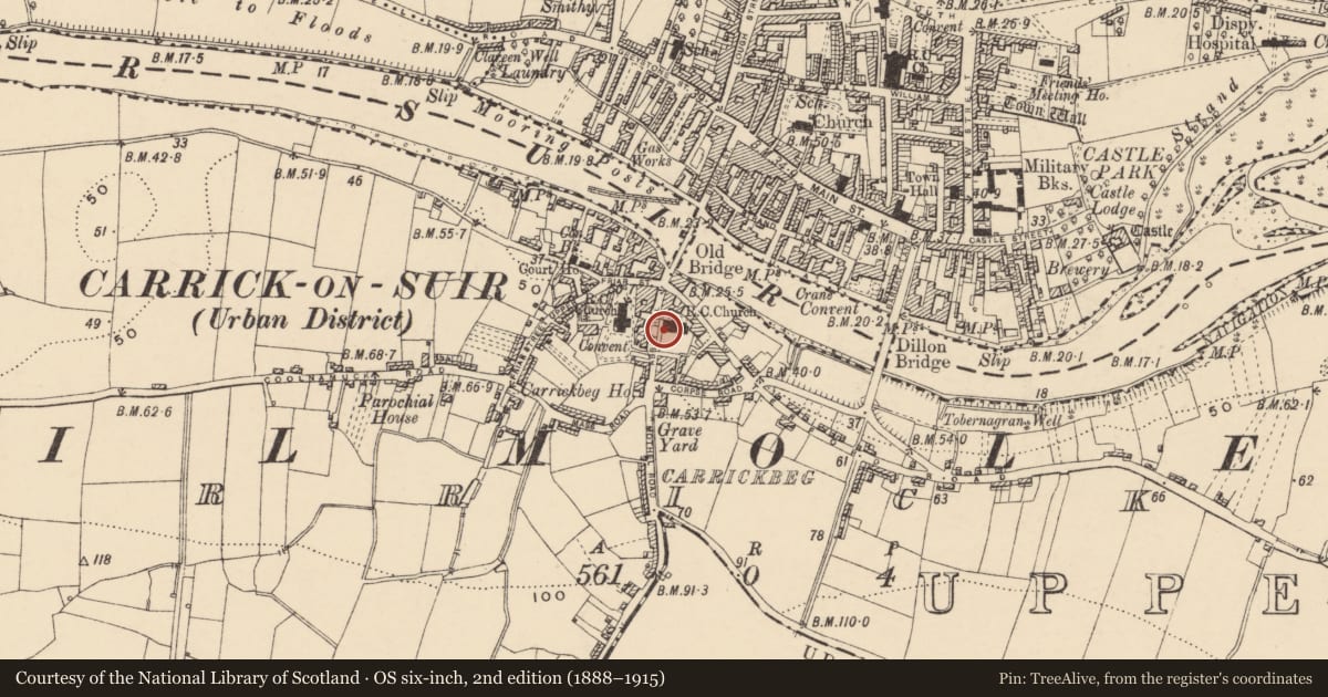 Ordnance Survey six-inch map, 2nd edition (1888–1915) covering the location of Graveslab, Carrickbeg, County Tipperary South, with a pin at the register's coordinates
