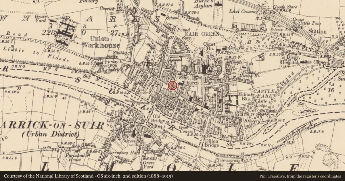 Ordnance Survey six-inch map, 2nd edition (1888–1915) covering the location of Graveslab, Town Parks, County Tipperary South, with a pin at the register's coordinates
