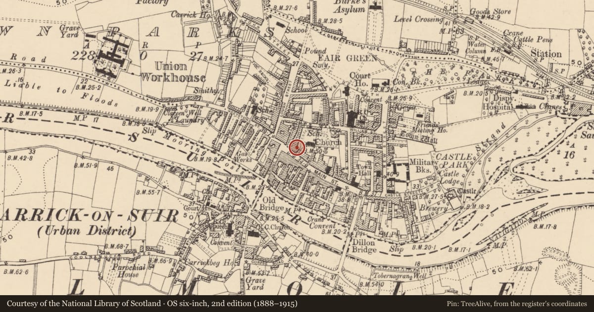 Ordnance Survey six-inch map, 2nd edition (1888–1915) covering the location of Graveslab, Town Parks, County Tipperary South, with a pin at the register's coordinates